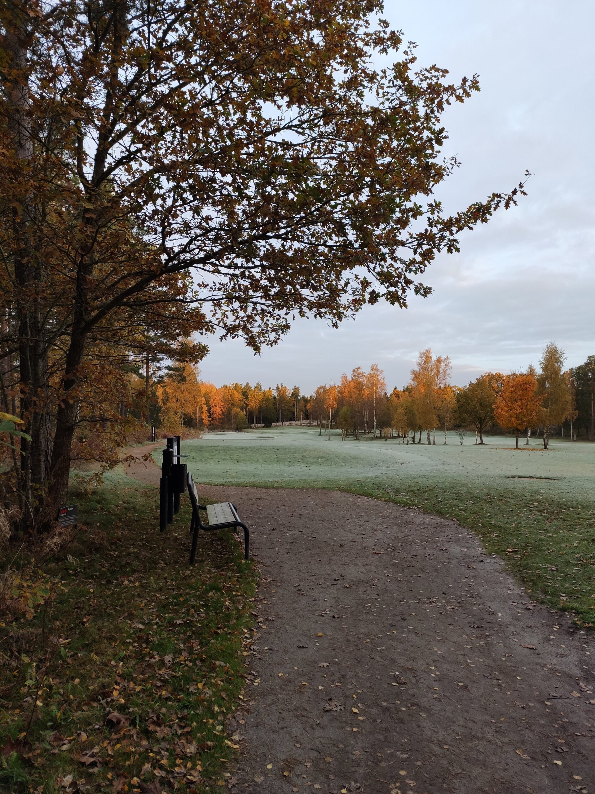 Nytt köldrekord för väderstationen Snurrom